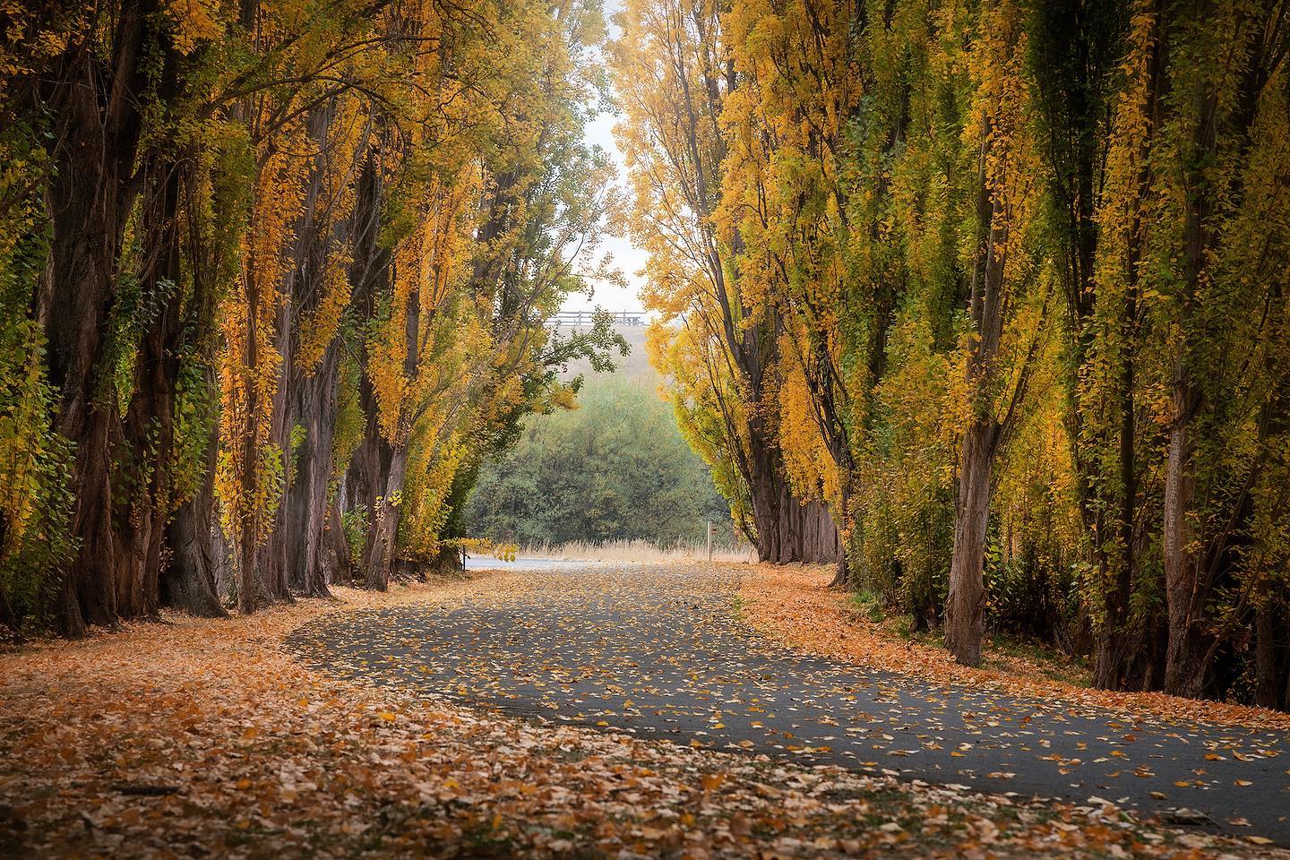 Autumn along the Heritage Highway. Image Credit: @rhyspopephotography