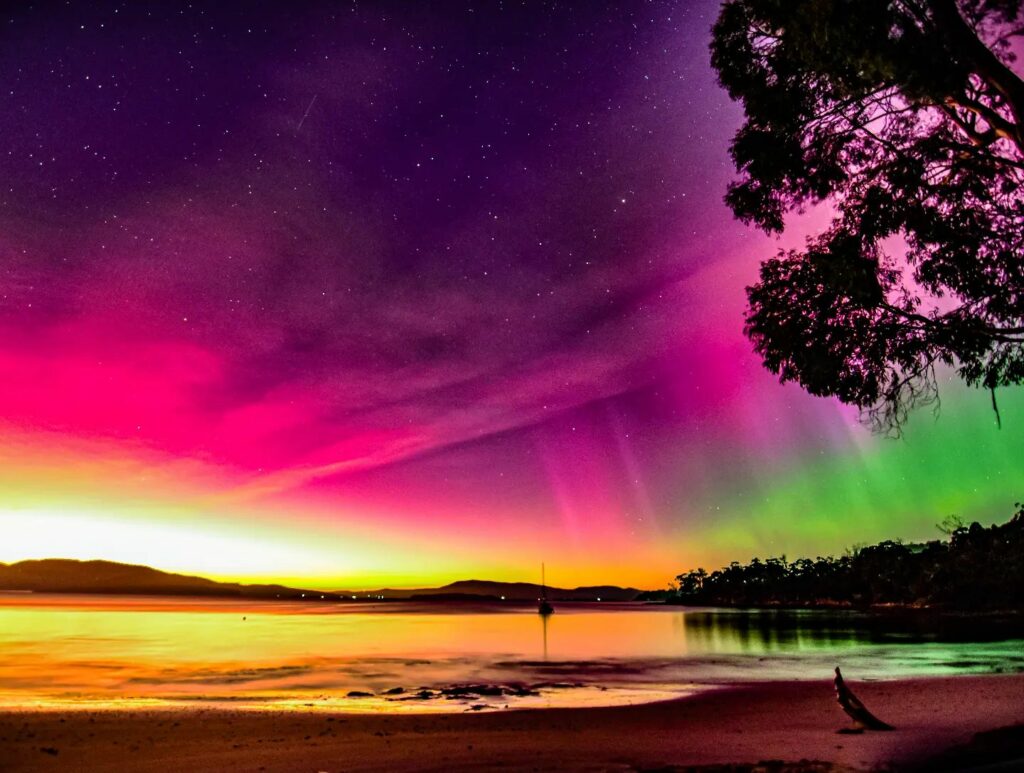 Aurora Australis. Image Credit: @krillknight