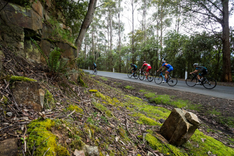 Cyclists on kunanyi / Mt Wellington. Image Credit Tourism Tasmania and Heath Holden