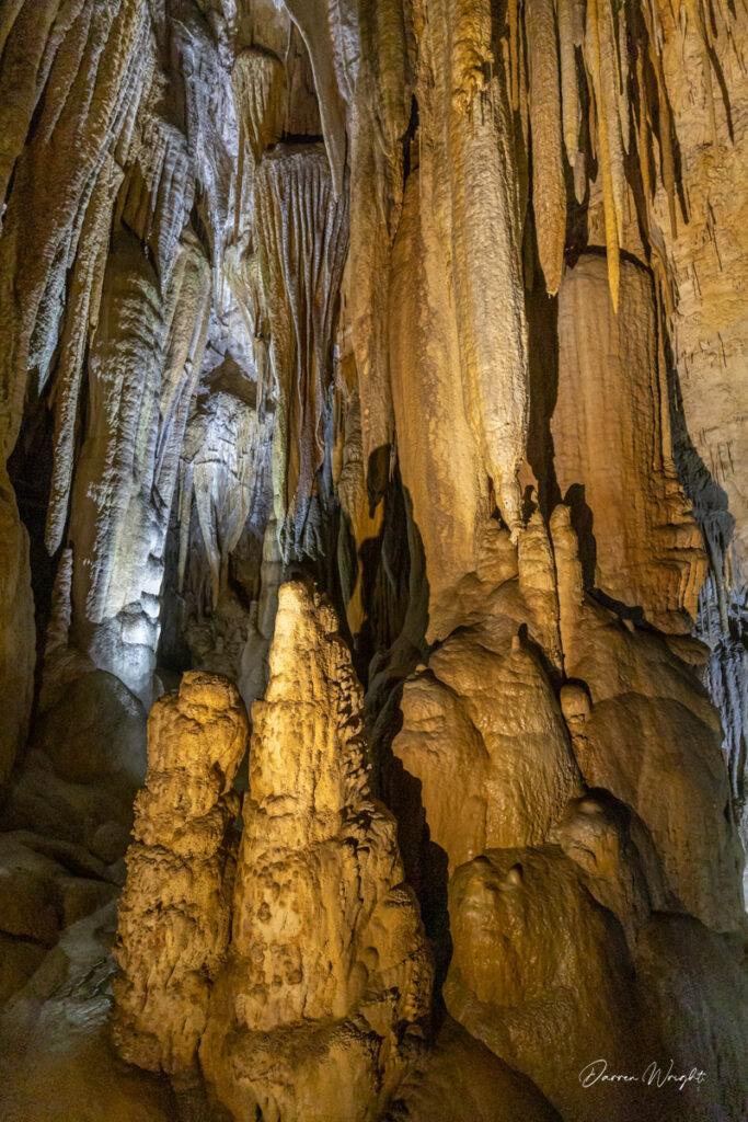 Hastings Caves State Reserve. Image Credit: @darrenwrightphotos