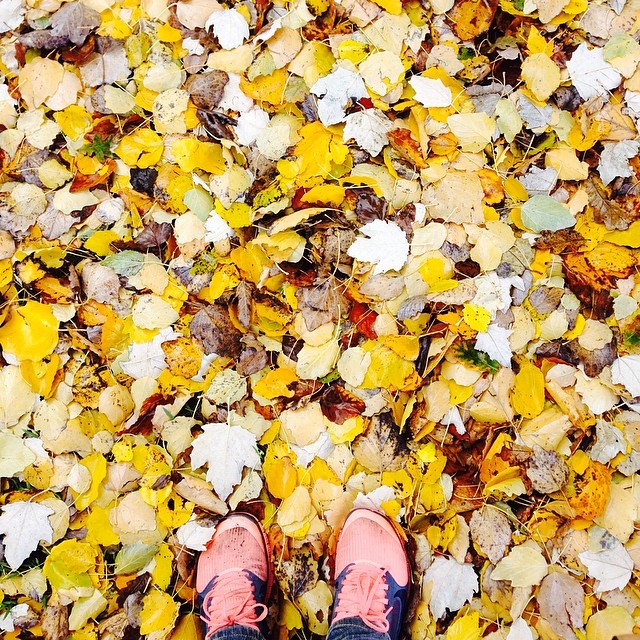 Six of our favourite spots for Autumn leaves in Hobart and Beyond ...