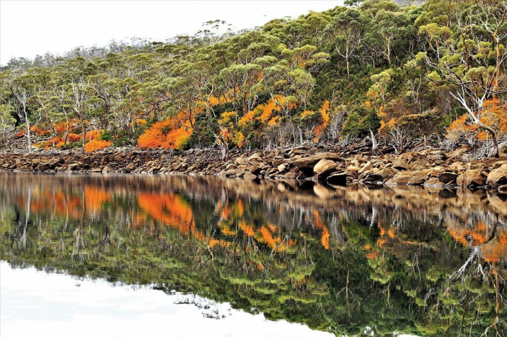 Autumn in Tasmania. Image Credit: @khulmie-Instagram