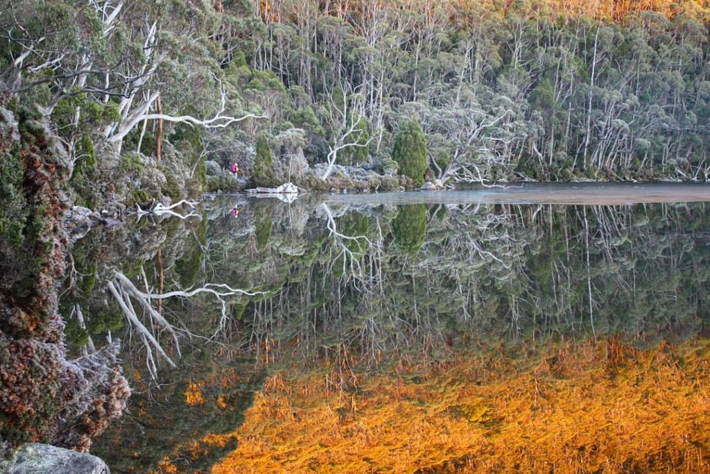 Lake Dobson, Mt Field National Park. Image Credit: @wanderingandalwayslost