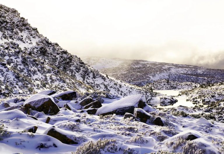 Tarn Shelf, Mount Field National Park. Image Credit: @wanderingandalwayslost