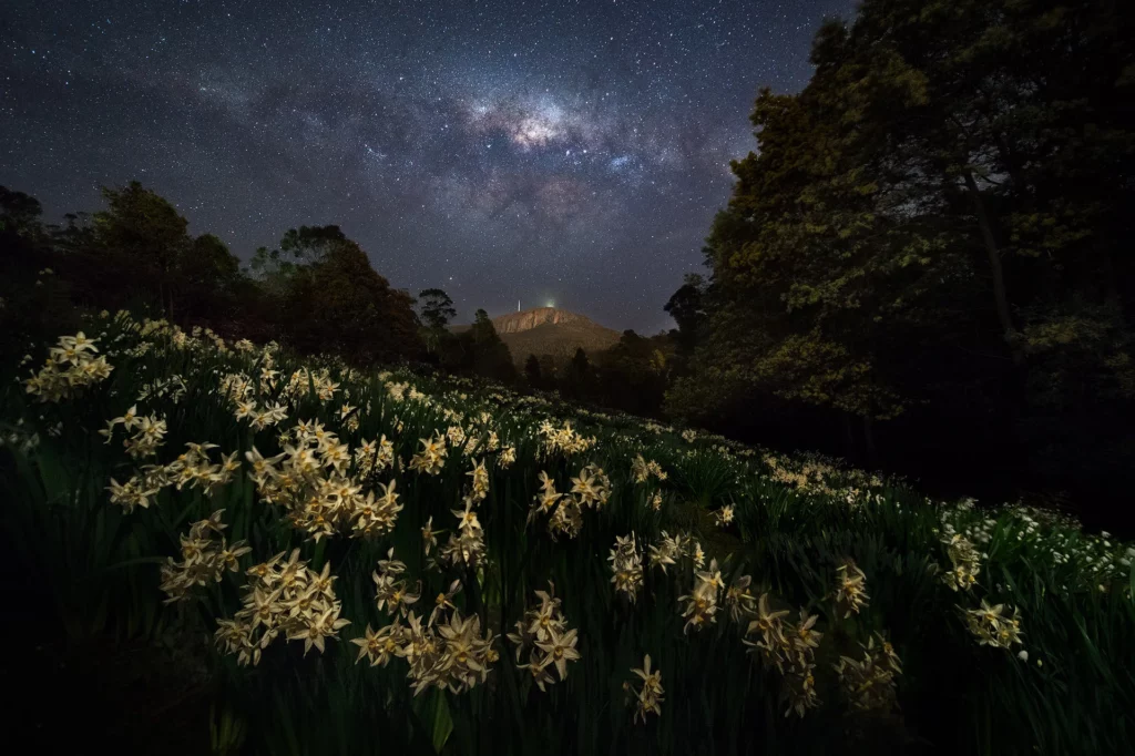 kunanyi / Mt Wellington. Image Credit: Luke Tscharke