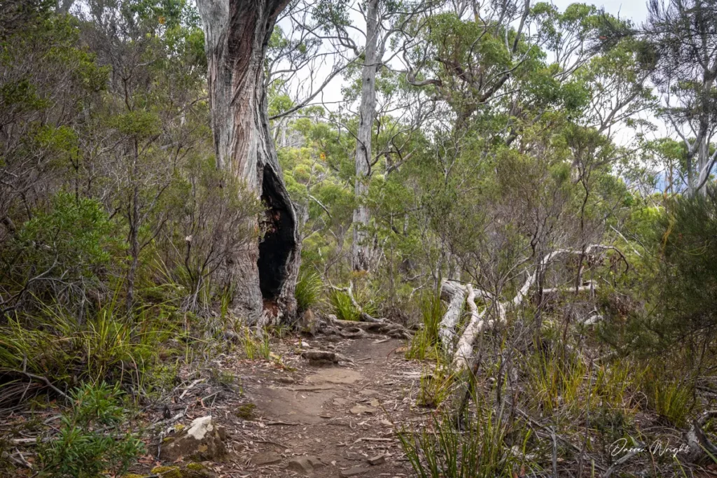 Cockle Creek, southern Tasmania 📷 Darren Wright